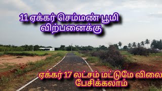 6379170190 திண்டுக்கல்  செம்பட்டி to நிலக்கோட்டைக்கு வழியில் 11 ஏக்கர் செம்மண் பூமி விற்பனைக்கு#agri