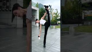 R.S Flexiblenia Flexible Performance On A Picked A Fight With The World