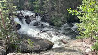 Wild Basin/RMNP Calypso Cascades 3.6 mi (easy)