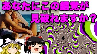 【ゆっくり解説】あなたの「目」は騙されている！！人はなぜ錯覚するのか?