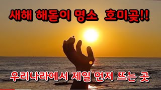 호미곶 일출~해돋이 명소/상생의 손 해맞이/포항 가볼만한 곳/해파랑 길/호미곶 등대