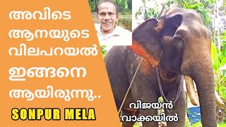 അവിടെ ആനയുടെ വിലപറയൽ ഇങ്ങനെ ആയിരുന്നു | Sonpur Mela | Elephant Frames | Vijayan Vakkayil