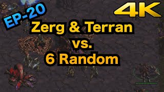 EP20 - StarCraft: Brood War Zerg & Terran vs. 6 Random in 36min. (Remastered)【4k】