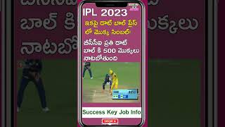 IPL2023 డాట్ బాల్ vs మొక్క #shorts #shortsvideo #shortsfeed #short #ytshorts #viral #trending #reels