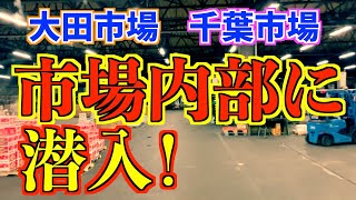 市場内部に潜入！長距離大型トラックで青果輸送！