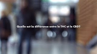 Le cannabis : réponses à vos questions - Différence entre THC et CBD?