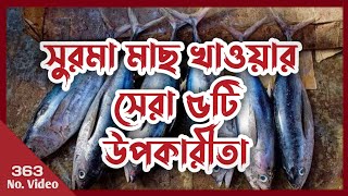 সুরমা মাছ খেলে কি কি উপকার হয়?  - সুরমা মাছ খাওয়ার সেরা ৫ টি উপকারীতা - সুরমা মাছে কিভাবে খাওয়া যায়?