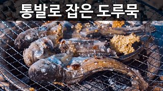 제철 생선을 직접 잡아 바로 숯불에 구워 먹어는 봤니?