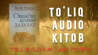 OTAMDAN QOLGAN DALALAR - TOG'AY MUROD #audio