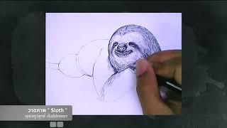 I062 สื่อเสริมการสอนศิลปะ  วาดภาพ Sloth