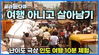 강한 자만 살아남는 인도 여행│인도 기차 타고 사막 기행│갠지스 강│세계테마기행│#골라듄다큐