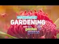 The Garden Gurus - Waterwise Gardening - Episode 1