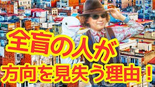 解説！ 全盲の人が方向を見失う理由あれこれ！ たとえ慣れている道であっても？ こんな時はちょっと大変なのです、全盲のバイオリニスト穴澤雄介が教えます♪