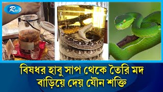 জীবন্ত সাপ ডুবিয়ে তৈরি হয় যে মদ! | Whiskey | Habushu | Snake | Rtv News