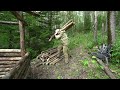 A man builds a hut in the forest from branches and logs. ASMR