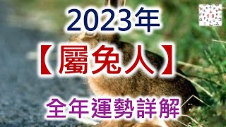 2023年屬兔人的全年運勢詳解
