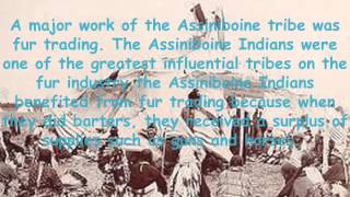 THE ASSINIBOINE TRIBE