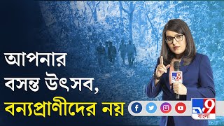 হোলিতে শিকার উৎসবে বন্যপ্রাণী হত্যা আটকাতে বাড়ছে নজরদারি | Holi 2022 News Update