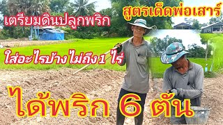 เตรียมดินปลูกพริก สูตรเด็ดพ่อเสาร์ใส่อะไรบ้างพริกถึงได้งามพื้นที่ไม่ถึง 1 ไร่ได้พริก 6 ตัน