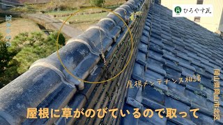 岡山県岡山市北区　屋根に草が生えた　メンテナンス