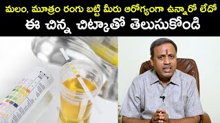 మలం, మూత్రం రంగు బట్టి మీరు ఆరోగ్యంగా ఉన్నారో లేదో ఈ చిన్న చిట్కాతో తెలుసుకోండి| Dr.Subrahmanyam |HQ