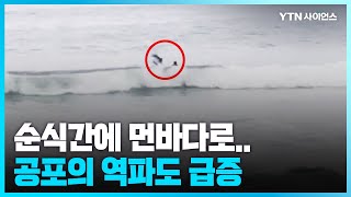 [과학뉴스] 공포의 역파도 이안류 2배↑...1시간 예보 발표 / 23.06.19