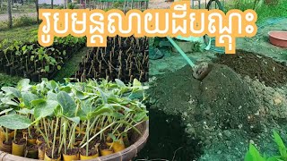 រូបមន្ដលាយដីសម្រាប់បណ្ដុះកូនដំណាំគ្រប់ប្រភេទ សារជាតិចិញ្ចឹមខ្ពស់ ជម្រុញគ្រាប់ពូជដំណាំឆាប់ដុះលឿន