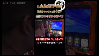 感情のジェットコースター【からくりサーカス】