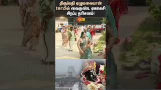 Tirupati | Special Darshana | Vaikuntha Ekakasi | Temple | Shorts | Sun News