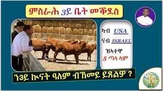 '' እዘን 5 ጣላ ላም ብኸመይ ንምስራሕ 3ይ ቤት መቕደስን 3ይ ኲናት ዓለምን ይጸልዋኦ ? '' (ብሰ/ወ ካሳሁን እምባየ)