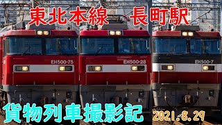 【貨物列車撮影記[7]】JR東日本　東北本線　長町駅　2021.8.29　(FHD)