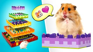 LIVE: How To Make Coolest Hamster Maze || FUN DIY!🐹🐀