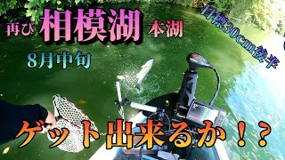 再び相模湖に釣行　今回はグッドサイズバスを手にしたい！　GoPro バス釣り動画