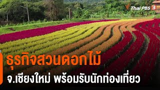 ธุรกิจสวนดอกไม้ จ.เชียงใหม่ พร้อมรับนักท่องเที่ยว : ชีวิตติดดิน ยกกำลัง 2