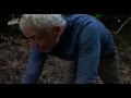 Monstruos de Río, Guarida de Gigantes (jeremy wade)