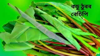 কচু ঠুৰৰ ৰেচিপি মোৰ ষ্টাইলত | কচু শাক এনেকৈ খাইছেনে ? পাহৰিব নোৱাৰা এক জুতি| Kosu Thur Recipe|