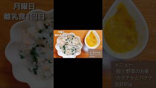 【生後8ヶ月】とある日の離乳食【鮭と野菜のお粥】【カボチャバナナ】 #離乳食 #育児 #子育て