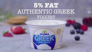 Authentic Greek Yogurt - 5% Fat