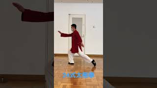 24式太極拳 #張紹偉