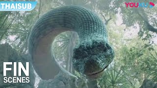 FIN | หรือนี่คือโทษของคนกินงู ถูกงูยักษ์ในป่าลึกเขมือบ | พญางูยักษ์ ผจญภัยตามล่าหาบิโกเนีย | YOUKU