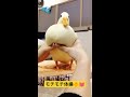 アヒルさんのモチモチ体操〜🐥💓 shorts