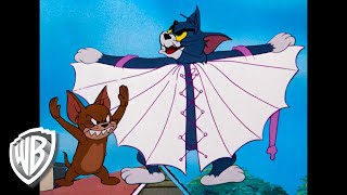 Tom y Jerry en Latino | Caricaturas Clásicas 4 | WB Kids