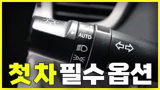 첫 차 살때 꼭 필요한 옵션 | 알짜배기만 모아놨습니다