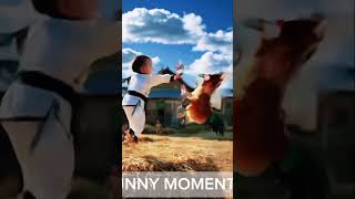 little boy fighting with chicken #funnyshorts #littleboys #fyp