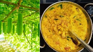 சுவையான சுரைக்காய் குழம்பு😋 இப்படி செய்து பாருங்க🔥| Bottle gourd(sorakkai) kulambu recipe in tamil 😋