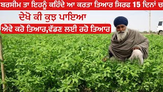 ਬਰਸੀਮ ਛੇਤੀ ਤਿਆਰ ਨਹੀਂ ਹੋ ਰਿਹਾ ਤਾ ਜਰੂਰ ਦੇਖੋ | barseem farming