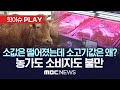 한우 도매가 20% 넘게 떨어졌는데, 마트 정육점 소매가는 찔끔 하락..할인 행사로 농가-소비자 불만 달랠 수 있나 - [핫이슈PLAY] MBC뉴스  2023년 2월 21일