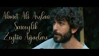 Ahmet Ali Arslan \u0026 Şenceylik - Zeytin Ağaçları I Bahçeden I Canlı Performans