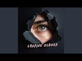 Chasing Echoes