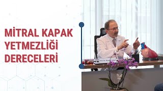 Mitral Kapak Yetmezliği Nedir? Derecelendirme ve Tedavi Seçenekleri Nelerdir?